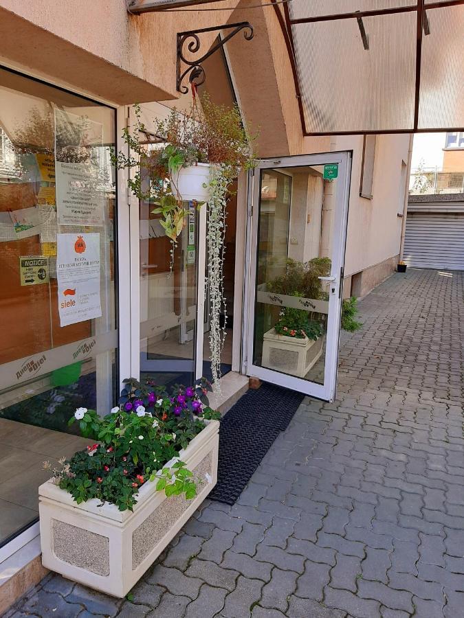 Guest House Diel Veliko Tarnovo Exterior photo